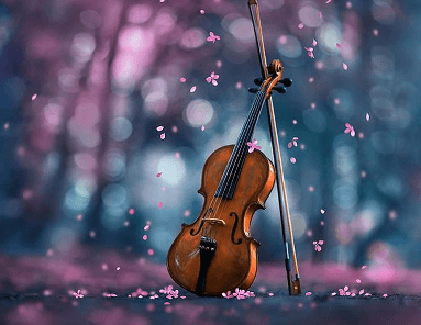 Wallpaper:Lny5gaejkks= Violin