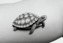 Vietnamese Turtle Tattoo