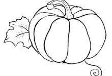 Outline:G7x5uoigido= Pumpkin