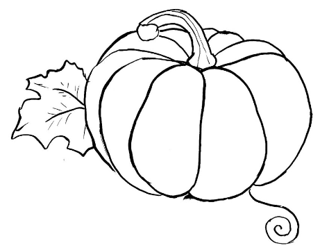 Outline:G7x5uoigido= Pumpkin