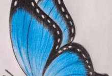 Drawing:Q5pbirjjkfa= Butterfly