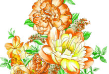 Design:Tsxa2jmgp98= Flower