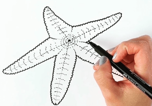 Drawing:Ox04kafpixm= Starfish