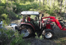 Brush Hogging in Central Florida