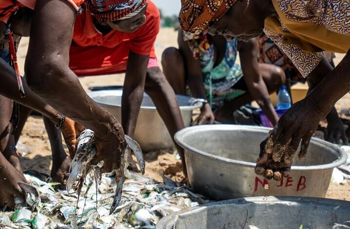 enterprise activity registration details