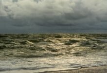 bright future market expansion