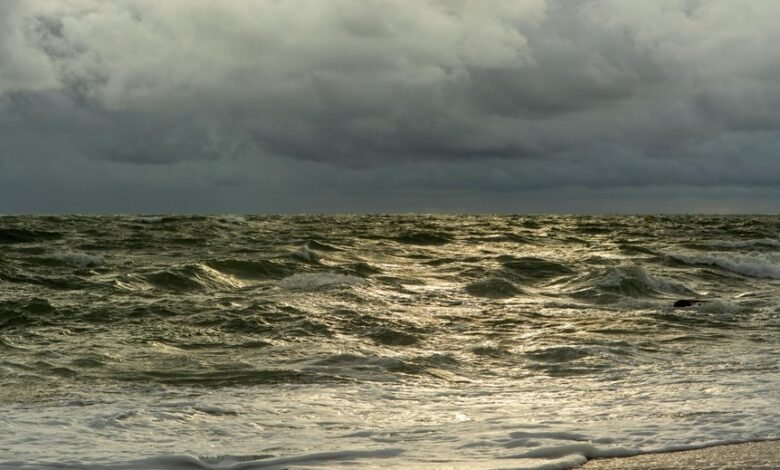 bright future market expansion