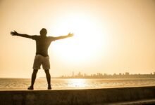 next level opportunity development