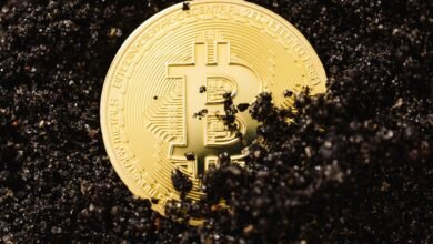 quantum opportunities for growth