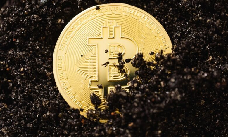 quantum opportunities for growth