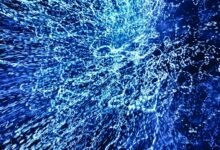 radiance wave market leadership