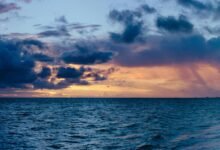 strategic fusion wave opportunities