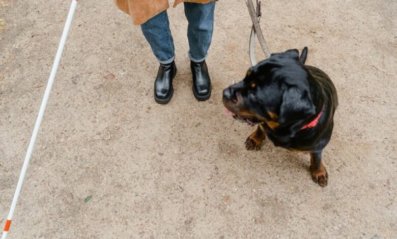 animal species discovery guide