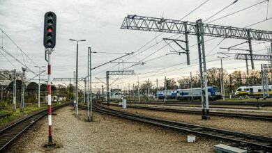 business profile insight hub