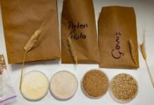 food additives research hub name