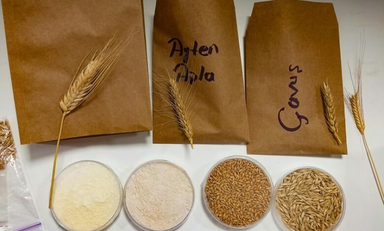 food additives research hub name