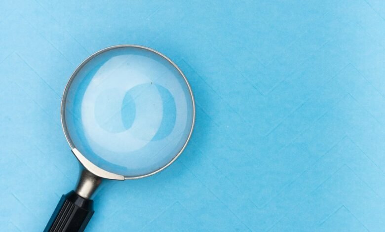 profile search insight hub