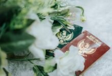 access verified registry findings