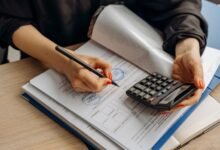 check number verification reports provided