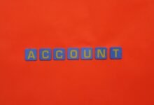 public number records search ids