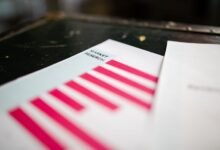 registry activity reports for five accounts